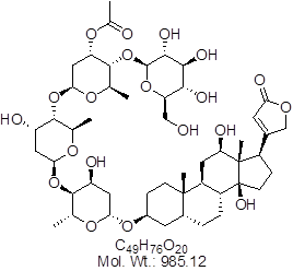 GLXC-10091